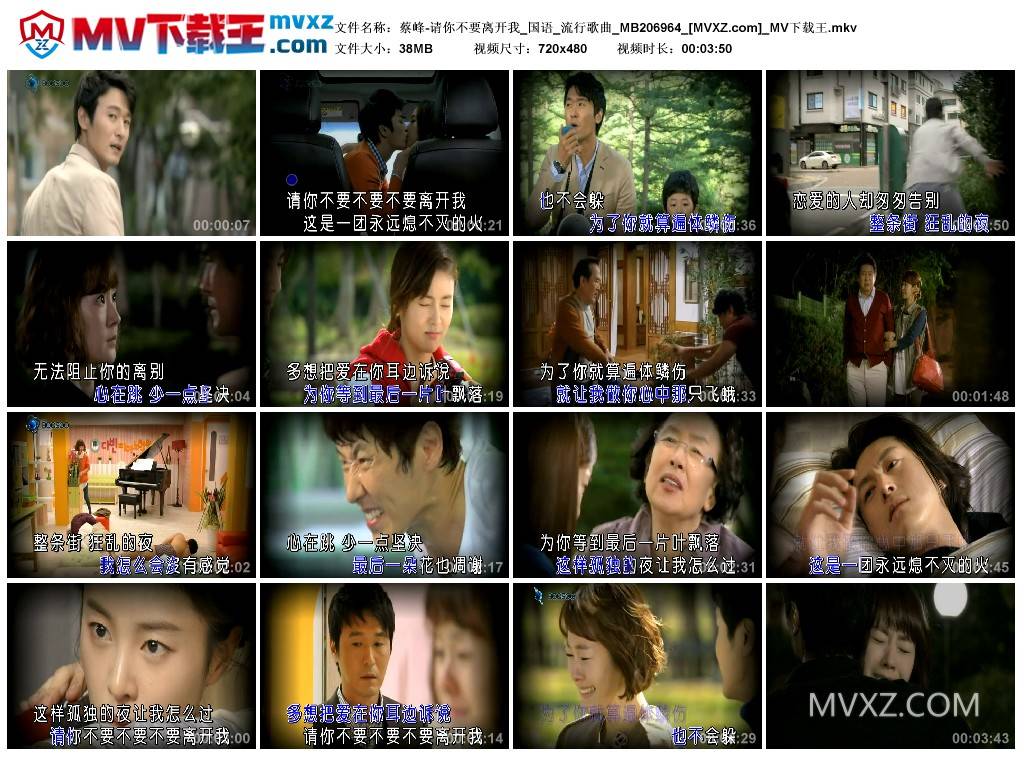 蔡峰-请你不要离开我_国语_流行歌曲_MB206964